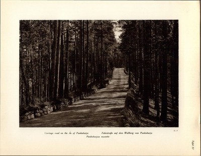 Kupfertiefdruck : Fahrstraße auf dem Wallberg von Punkaharju. Finnland, Suomi. U