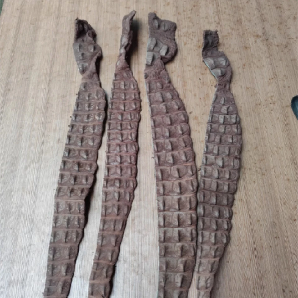 1X Real Alligator Crocodile Leather Hide Bone Craft Skin Pelt DIY Keychain Brown - Image 3 of 4
