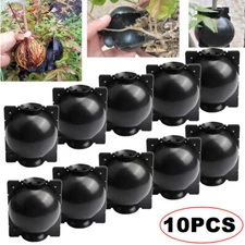 10Pcs Plant Root Grow Graft Balls High Pressure Propagation Layering Pod Boxes