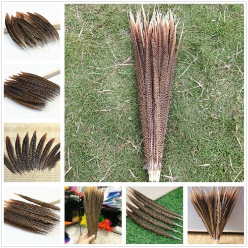 Wholesale 10/50/100pcs Natural Golden Pheasant Tail Feathers 4-30 inch/10-75 cm - Picture 1 of 13