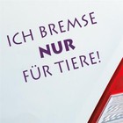 Bild 17 von 24