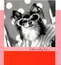 Pink Happy Birthday Diva Style Stylish Papillon Puppy Hallmark Greeting Card