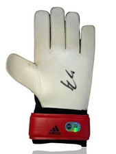 HUGO LLORIS SIGNED TOTTENHAM HOTSPUR GOALKEEPER GLOVE (ACG CERT AG17576)