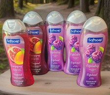 Softsoap Body Wash 5 Pack Variety Moisturizing- Exfoliating - Real Extract 20 Oz