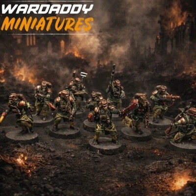 Well Painted Warhammer 40k Death Korps Of Krieg Kill Team B1 Games ...