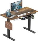 Inch Electric Height Adjustable Standing Desk with Drawer, Memory Preset and Cab