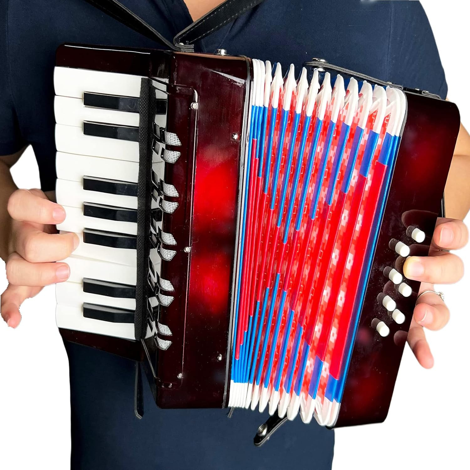 Accordion 17 Keys 8 Bass, Keyboard Instrument,Convenient to Carry, Suitable for