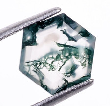 Natural Tree Moss Agate Faceted Cut Hexagon Shape 9X9mm Loose Gemstone 2.50Ct.