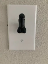 (4) Novelty Gag Gift Joke Penis Dick Cap Covers For Light Switch Fit Standard