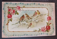vtg postcard art religious Behold how he loved him John 11 robins snowy branches