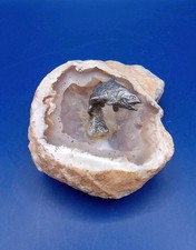 Pewter TROUT Fish In A GEODE Stone Paperweight &bull; Trinket &bull; About 3.6" Long