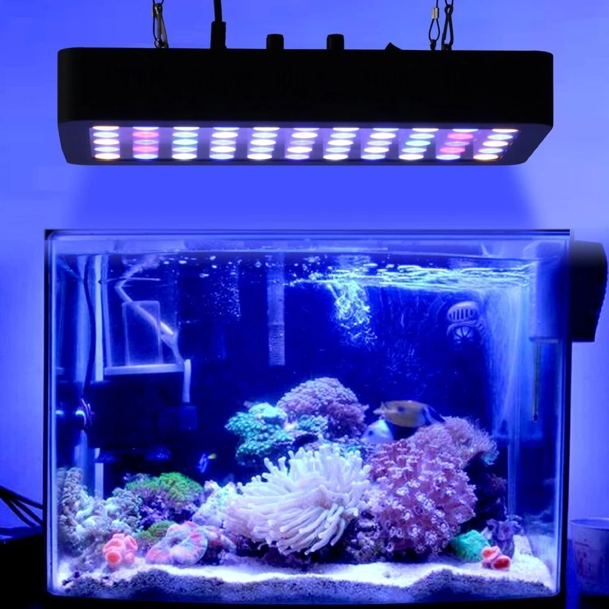 Marine aquarium led lights sales