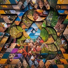 Miguel Atwood-Ferguson Les Jardins Mystiques - Volume 1 (Vinyl) (UK IMPORT)