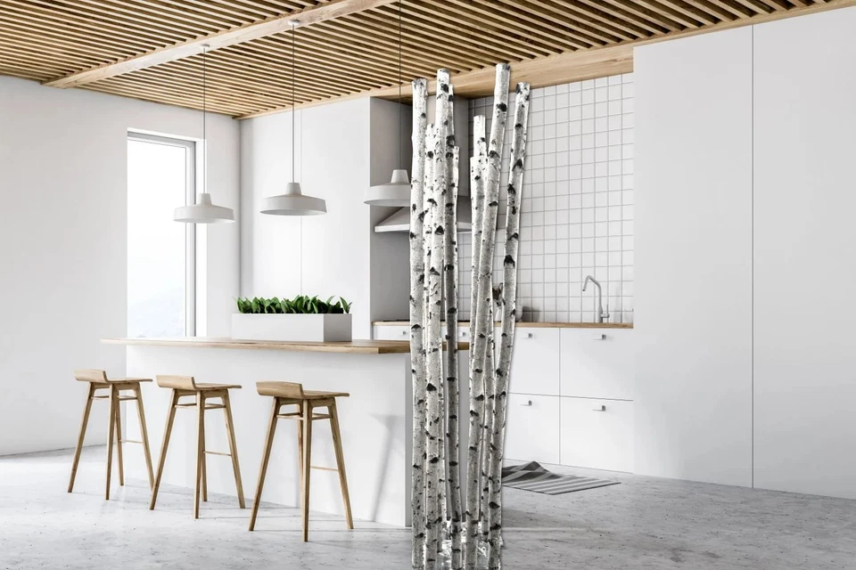 Birkenstamm 180 cm - ø 4-6 cm Birkenholz Birke Deko Holz - Bild 2 von 4