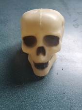 HALLOWEEN SKULL Micro Tube Cache Container for Geocaching comes with a Log Book