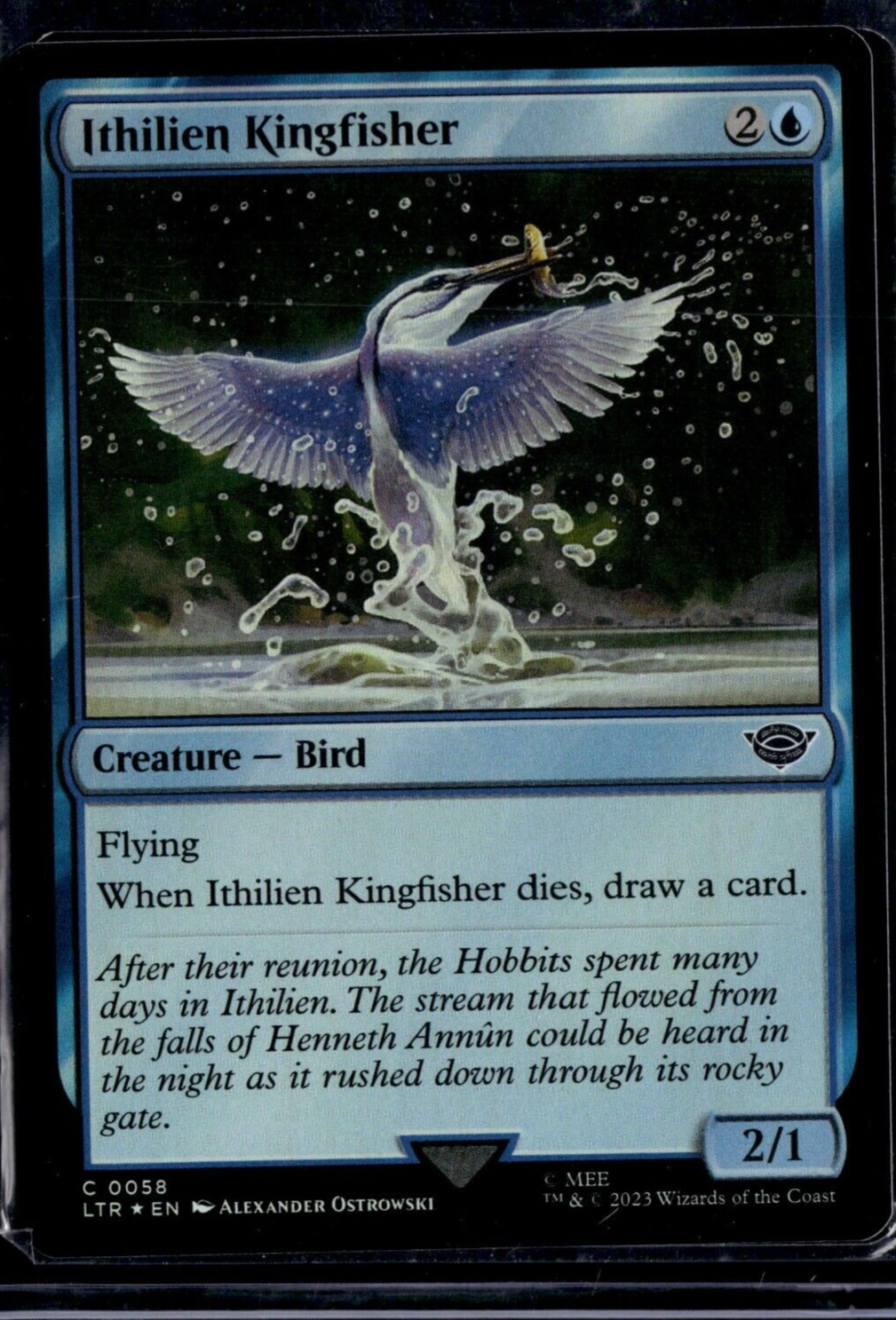 58 Magic Card Ithilien Kingfisher 58 FOIL Magic the Gathering! | eBay
