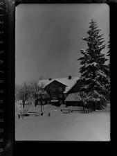 30034213 - 3388 Bad Harzburg capercaillie