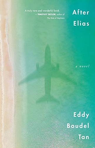 After Elias by Tan  New 9781459746428 Fast Free Shipping Paperback Paper+-