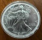 2001 American Silver Eagle - Silver Dollar