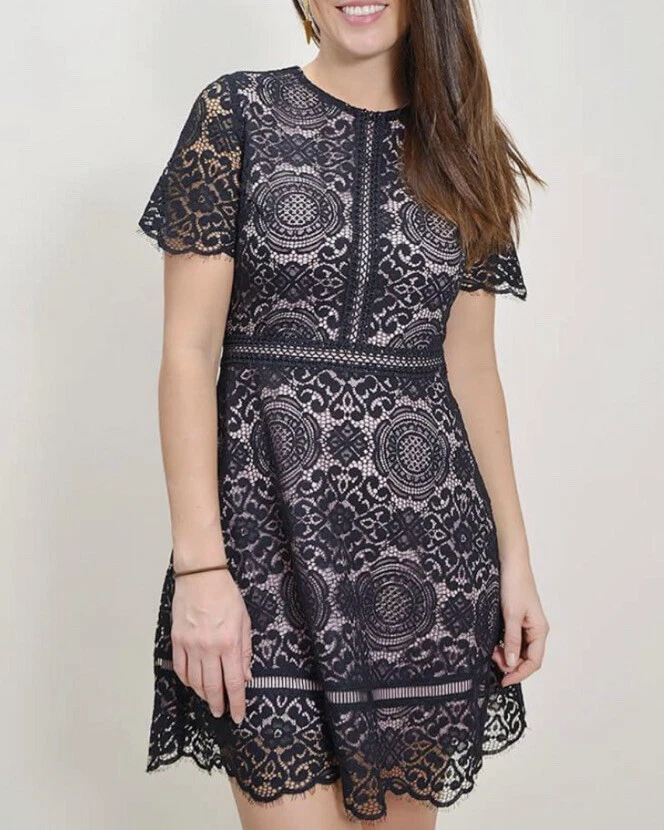 BB Dakota Dinner For Two Fit And Flare Lace Dress 8 Nordstrom