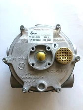 Streamline Model J (IMPCO Replacement) N-JB-2 Converter - Blue Spring, Silicone