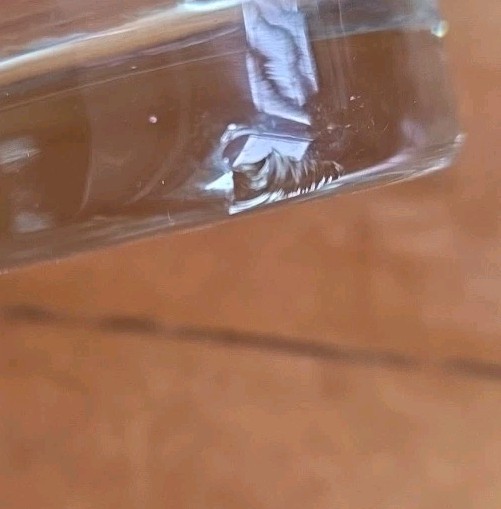 Picture 9 of 11