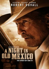 A Night in Old Mexico (DVD, 2013, Widescreen) - DISC ONLY 