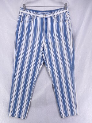 NWOT American Eagle 12 Regular Stripped Mom Jean