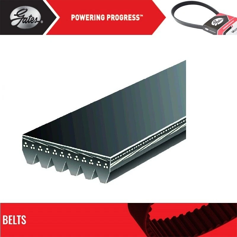 Cinturón Gates Serpentine para Ford Focus L4-2,0 L 2012 Foto 2 de 4