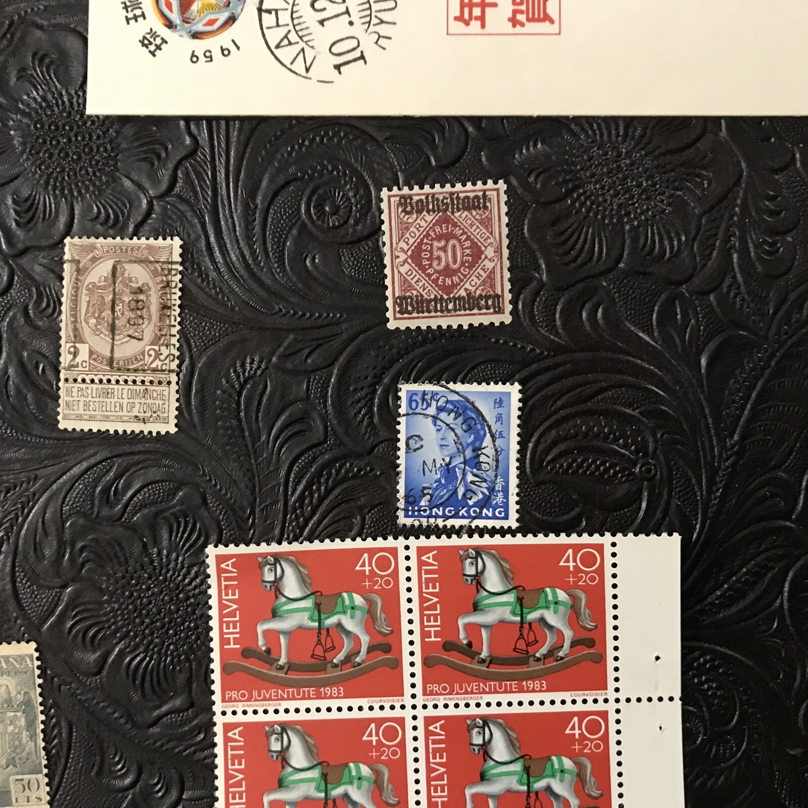 Picture 5 of 19