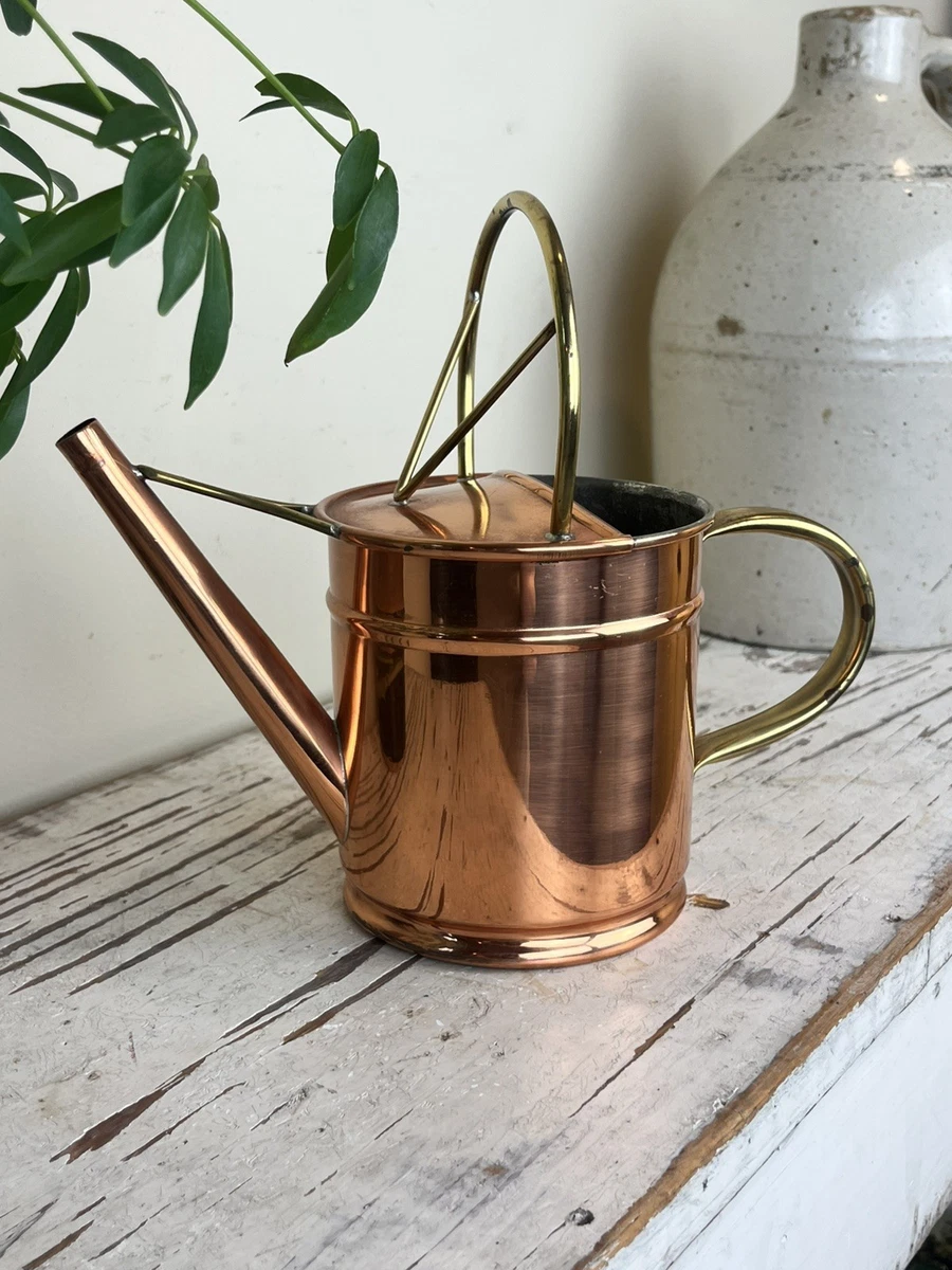 洒水壶收藏铜金属器皿| eBay