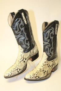 Coyote Joe | eBay display picture 3