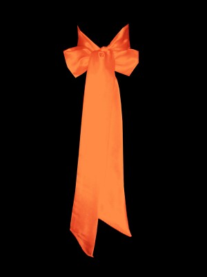NEON ORANGE Satin Wedding Fancy Dress Party Ribbon Sash Tie Belt Band Bow |  eBay