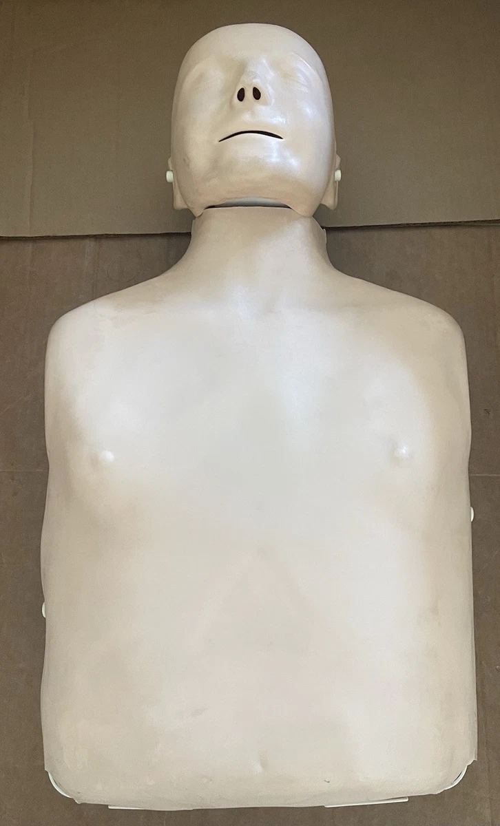 小安妮人体模型| eBay