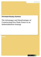 Christabel Boakye Dankwa | The Advantages And Disadvantages Of Constructing...