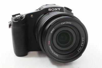 Sony Cyber-Shot DSC-RX10 II schwarz, sehr guter Zustand