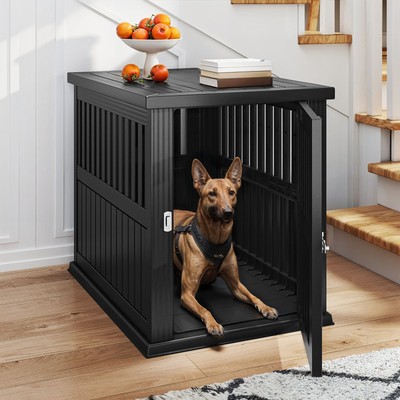 TAUS Plastic Dog Crate for Small and Medium Dogs Indoor Kennel with Door Latch