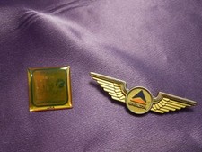 Lot of 2 Flight Airplane Pins Airline Pilots Association Delta Wings Collectible