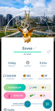 Eevee with BG City Safari S o Paulo  Tr-de Go