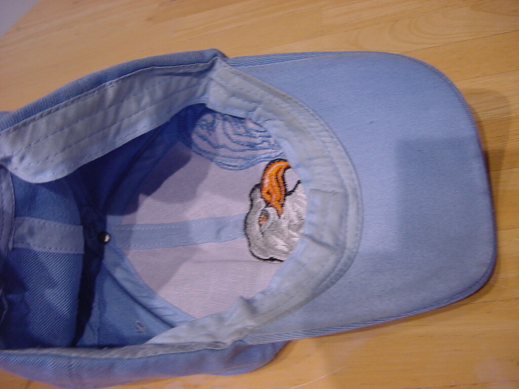 AMERICAN EAGLE USA ADJUSTABLE HAT - image 5