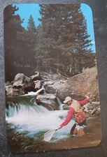 vtg postcard Fishing mountain stream Dexter Sanborn older chrome bright vivid
