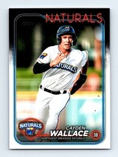 #PD-24 2024 Topps Pro Debut Cayden Wallace Naturals