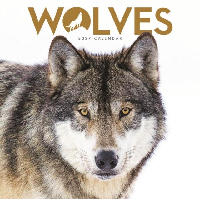 Wolves Mini Calendar 2027, Wall Calendars, Month To View, Animals, Gift - Image 5