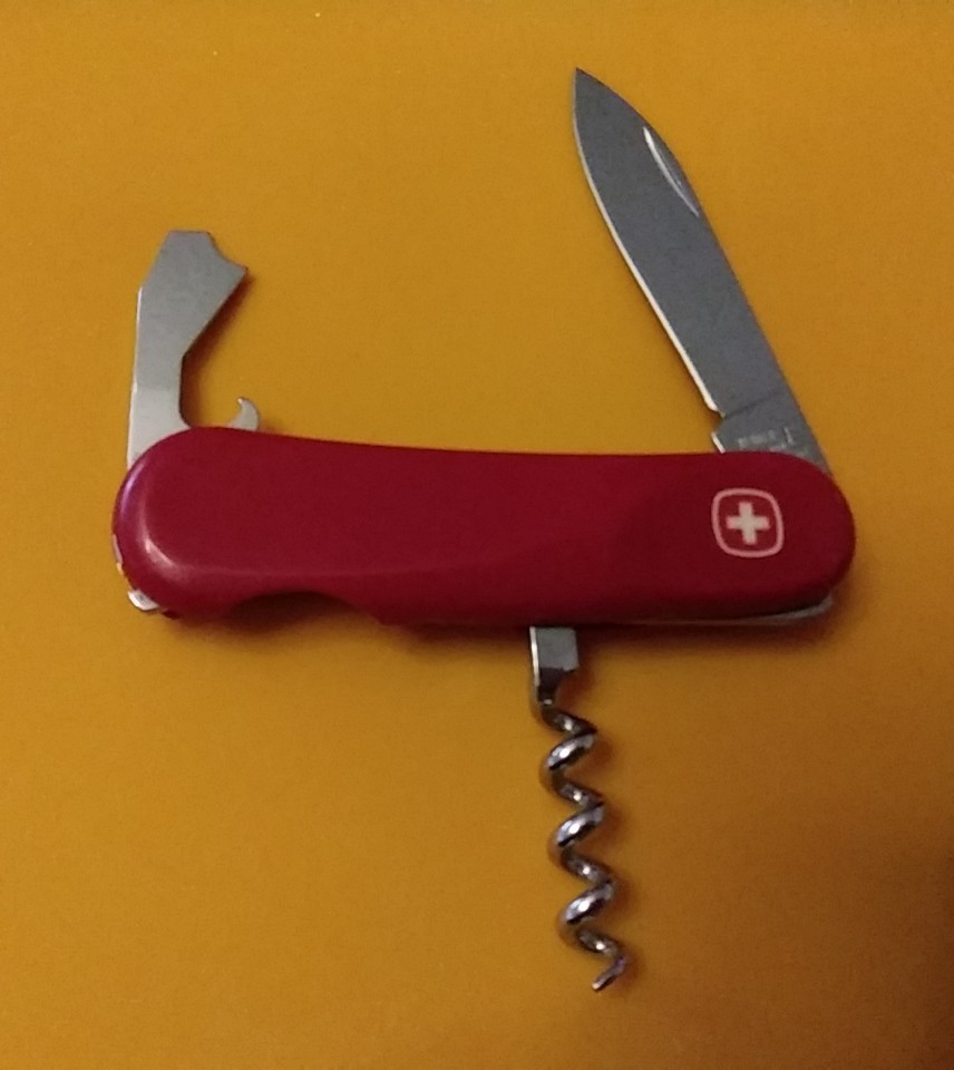 Wenger Delemont Entree, Evo 63 SAK Great Condition 🇨🇭 