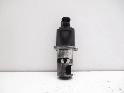 8200656008 Valvula Egr para RENAULT CLIO II FASE II (B/CB0) * 2005 7168608 - Imagen 1 de 3