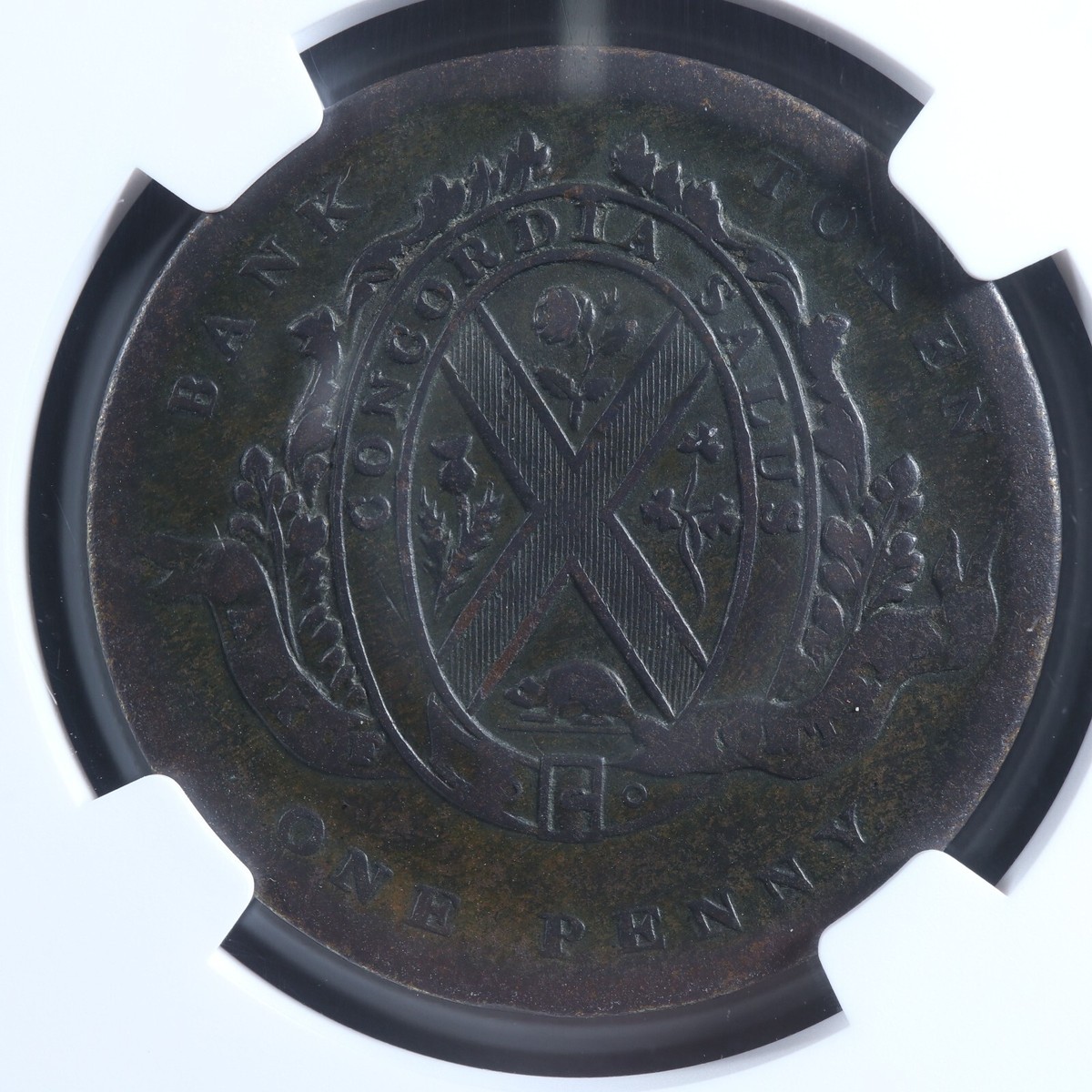 C17112】SEIREN/THE NEW WORLD C17112】SEIREN/THE NEW WORLD Scott