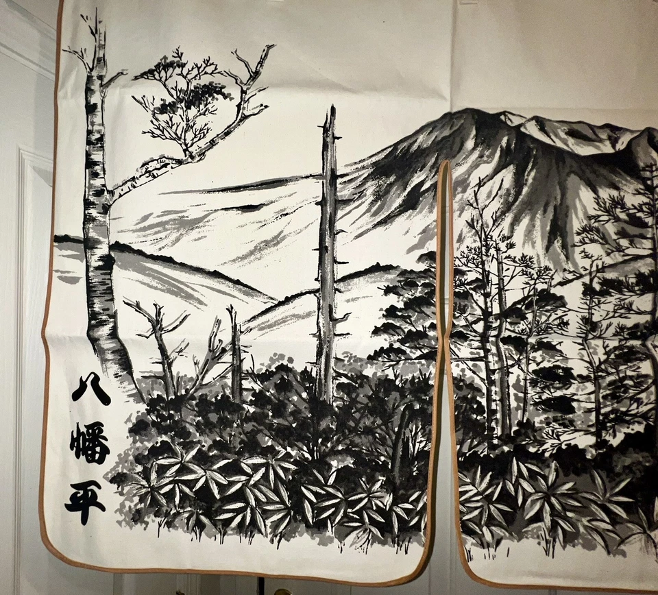"Puerta/cortina antigua japonesa Noren vintage como nueva 34"" X 25,5""" Foto 2 de 4