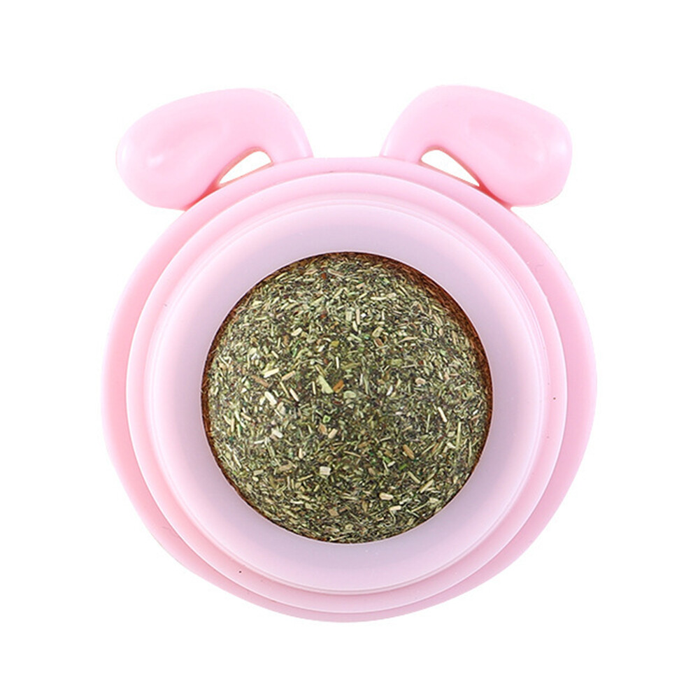 Plastic Catnip Balls Toy for Cats Replaceable Dog Head Shape Pet