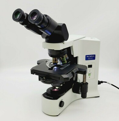 Olympus Microscope BX41 with Fluorites, Phase Contrast, & Tilting Binocular Head