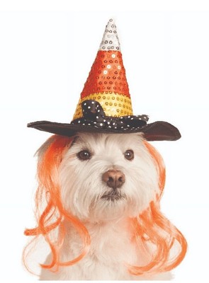 New Pet Halloween Costume Candy Corn Hat Rubies Pet Shop Boutique Size M/L 